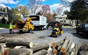 Best Lawn Maintenance Plans  in Ada, OK